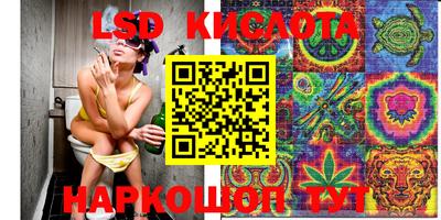 прущие крисы Кунгур