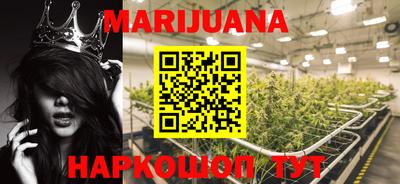 сатива Краснознаменск
