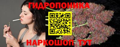 крисы Краснокаменск